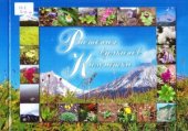 book Растения вулканов Камчатки