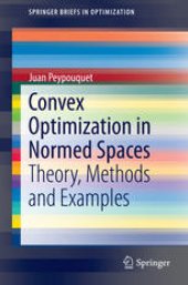 book Convex Optimization in Normed Spaces: Theory, Methods and Examples