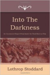 book Into the Darkness: Nazi Germany Today