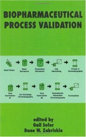 book Biopharmaceutical Process Validation (Biotechnology and Bioprocessing)