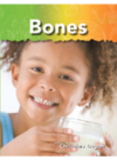 book Bones