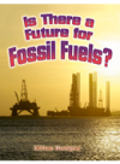 book Is There a Future for Fossil Fuels?