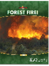 book Forest Fire!