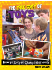 book The True Cost of Toys