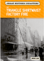 book The Triangle Shirtwaist Factory Fire