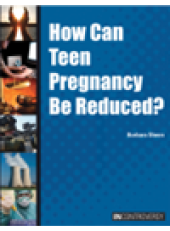 book How Can Teen Pregancy Be Reduced?