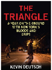 book The Triangle. A Year on the Ground with New York's Bloods and Crips