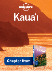 book Kauai &#8211; Guidebook Chapter. Kauai Chapter from Hawaii Travel Guide Book