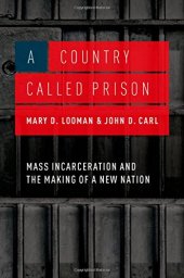 book A Country Called Prison: Mass Incarceration and the Making of a New Nation