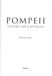 book Pompeii: history, life & afterlife