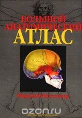 book Большой анатомический атлас