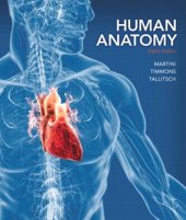 book Human Anatomy