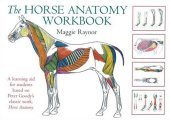 book The Horse Anatomy Workbook: A Learning Aid for Students Based on Peter Goody's Classic Work, Horse Anatomy