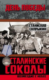 book Сталинские соколы. Возмездие с небес