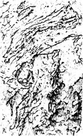 book Пятизначные таблицы логарифмов - с приложением других таблци, упрощающих вычисления