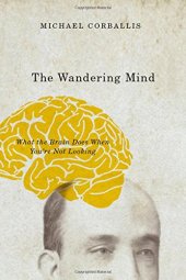 book The Wandering Mind: What the Brain Does When You're Not Looking