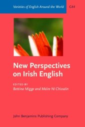 book New Perspectives on Irish English