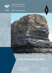 book Rock engineering risk