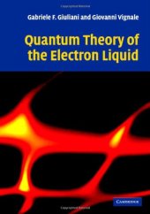 book Quantum Theory of the Electron Liquid