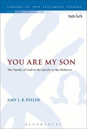 book You Are My Son: The Family of God in the Epistle to the Hebrews