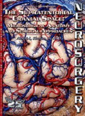 book The Supratentorial cranial space : microsurgical anatomy and surgical approaches