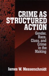 book Crime as Structured Action: Gender, Race, Class, and Crime in the Making