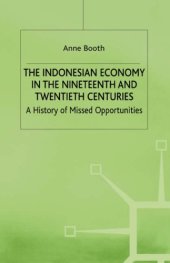 book The Indonesian Economy in the Nineteenth and Twentieth Centuries. A History of Missed Opportunities