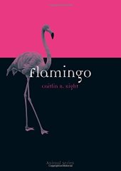 book Flamingo