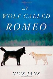 book A Wolf Called Romeo