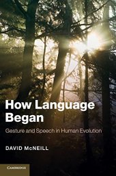 book How Language Began: Gesture and Speech in Human Evolution