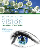 book Scene Vision: Making Sense of What We See