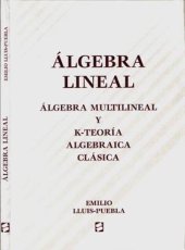 book Algebra lineas, algebra multilineal y k-teoria algebraica clasica