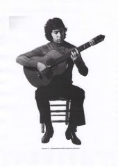 book Фламенко. Приложение к справочнику гитариста