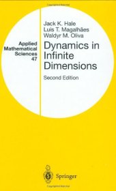 book Dynamics in Infinite Dimensions