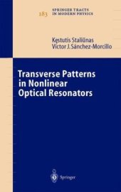 book Transverse Patterns in Nonlinear Optical Resonators