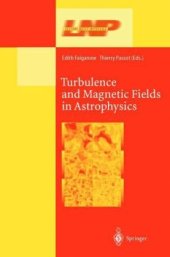 book Turbulence and Magnetic Fields in Astrophysics