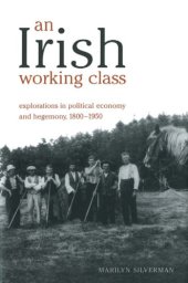 book An Irish Working Class: Explorations in Political Economy and Hegemony, 1800-1950