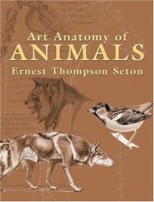 book Art Anatomy of Animals