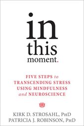 book In This Moment: Five Steps to Transcending Stress Using Mindfulness and Neuroscience