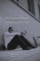 book The Cultural Matrix: Understanding Black Youth