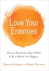 book Love Your Enemies: How to Break the Anger Habit & Be a Whole Lot Happier