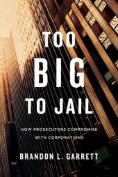 book Too Big to Jail: How Prosecutors Compromise with Corporations