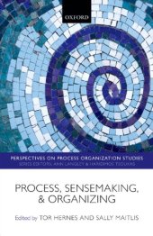 book Process, Sensemaking, and Organizing