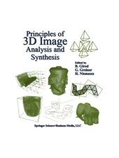 book Principles of 3D image analysis and synthesis