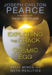 book Exploring the Crack in the Cosmic Egg