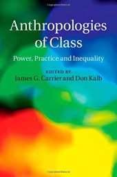 book Anthropologies of class : power, practice and inequality