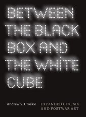 book Between the black box and the white cube : expanded cinema and postwar art