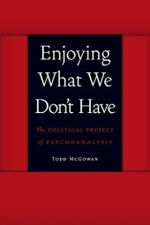 book Enjoying what we don't have : the political project of psychoanalysis