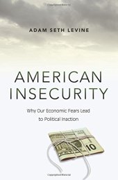 book American insecurity : why our economic fears lead to political inaction