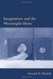 book Imagination and the meaningful brain